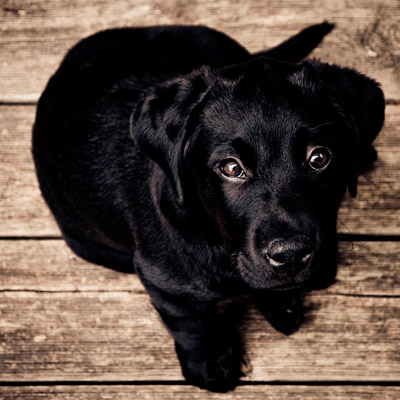 自动化部署的在线DDOS平台攻击