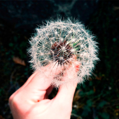 ddos在线压力测试平台